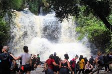 caminhos-de-peabiru-levam-visitantes-a-antigas-rotas-no-parana;-veja-como-visitar-a-trilha